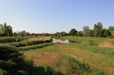wardenbrugk 04